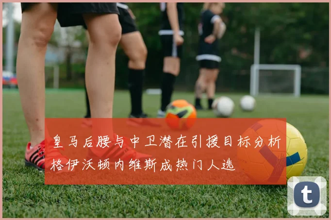 皇马后腰与中卫潜在引援目标分析格伊沃顿内维斯成热门人选