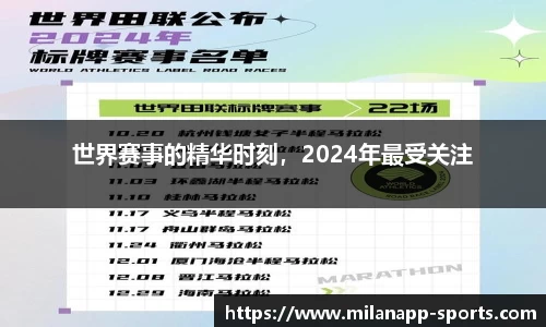 世界赛事的精华时刻，2024年最受关注